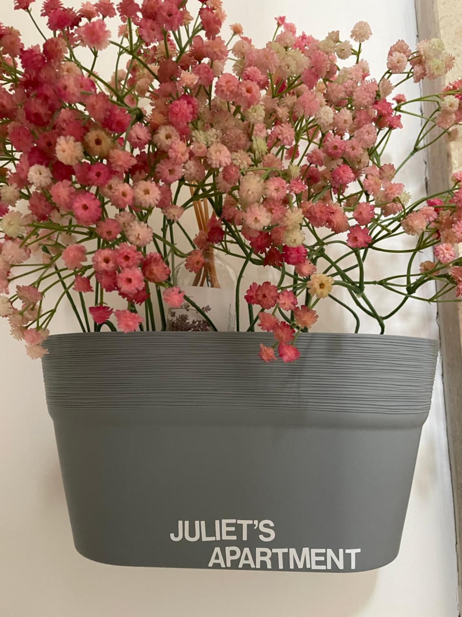 Juliet'S Apartment Верона Экстерьер фото